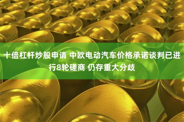 十倍杠杆炒股申请 中欧电动汽车价格承诺谈判已进行8轮磋商 仍存重大分歧