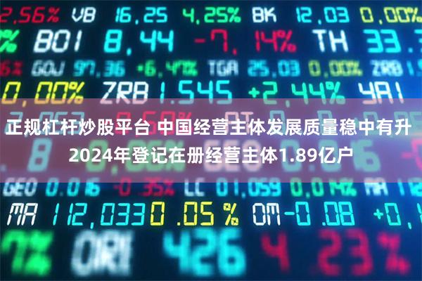 正规杠杆炒股平台 中国经营主体发展质量稳中有升 2024年登记在册经营主体1.89亿户